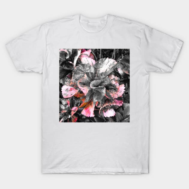 Carmine flowers T-Shirt by Breccia